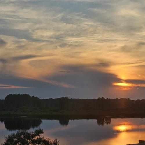 Photo #10800590