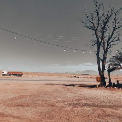Photo #10800638