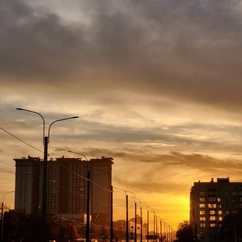 Photo #10800970