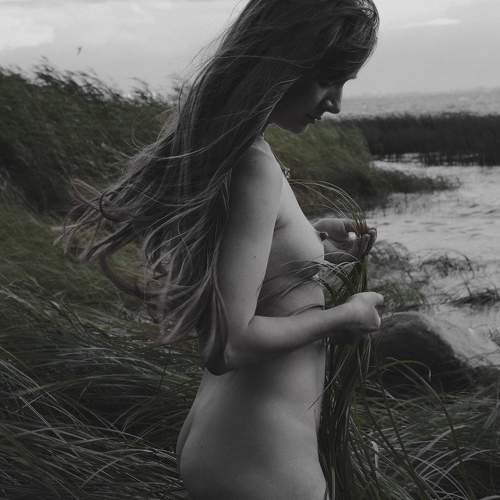 Photo #10801070