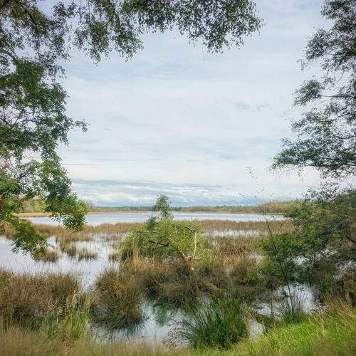 Фотография #10801085