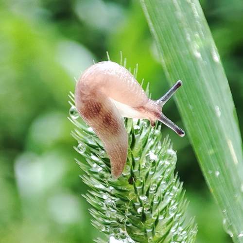 После дождя