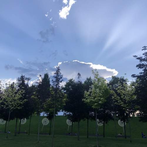 Photo #10801214