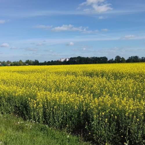 Photo #10801258