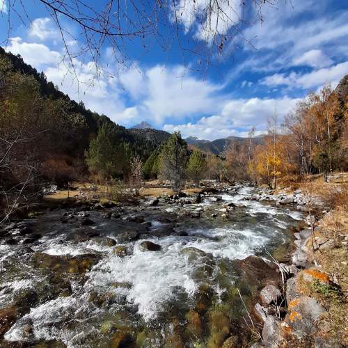 Photo #10801343