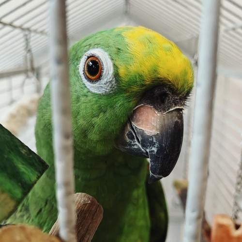 Photo #10801402