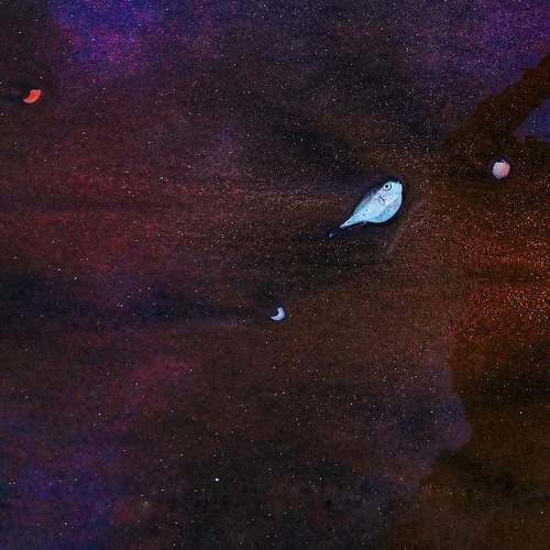 Photo #10801451
