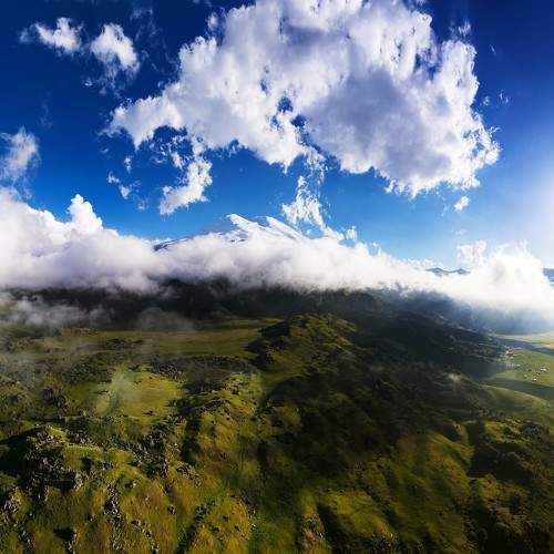 Photo #10801519