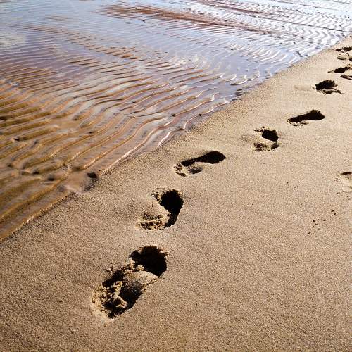 Photo #10801544