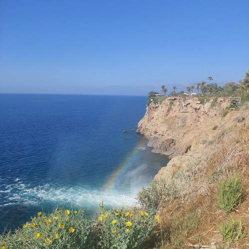 Photo #10801607