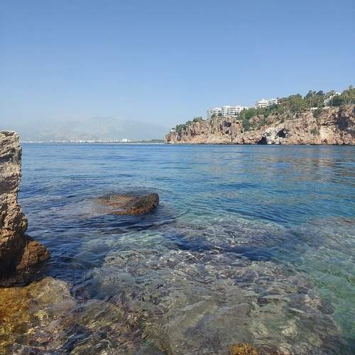 Photo #10801608