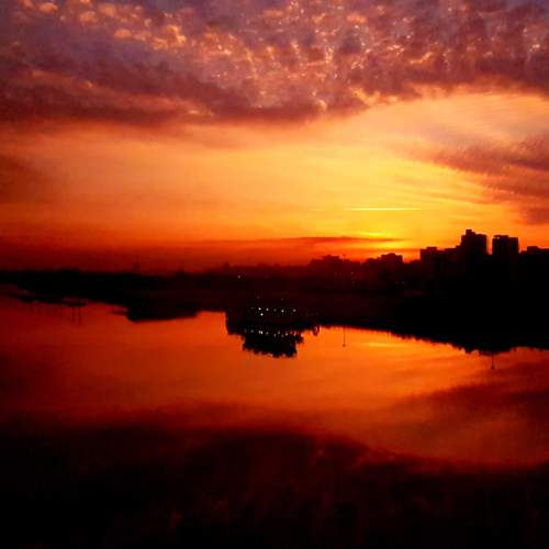 Photo #10801726