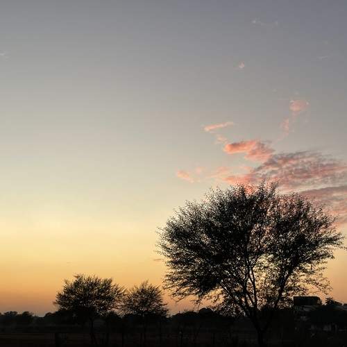 Photo #10801777