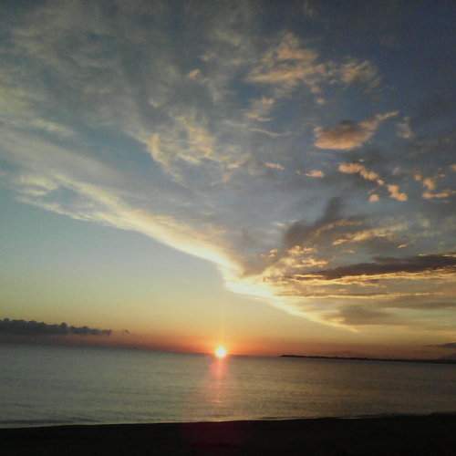 Photo #10801938