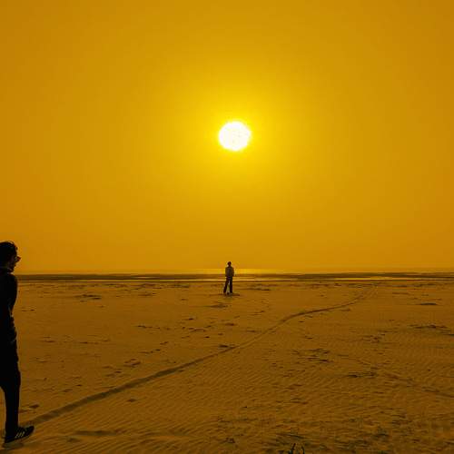 Photo #10802094