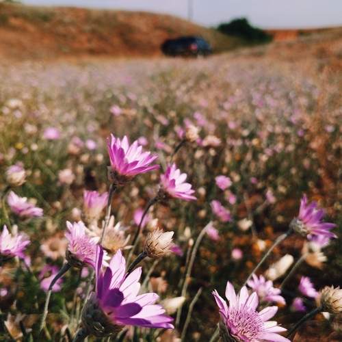 Photo #10802231