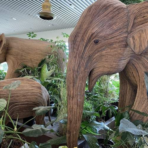 Photo #10802341