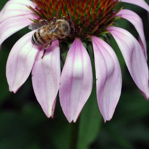 Photo #10802730
