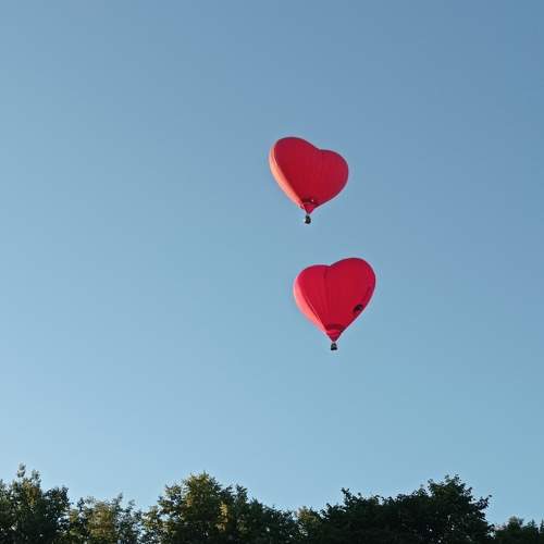 Photo #10802749