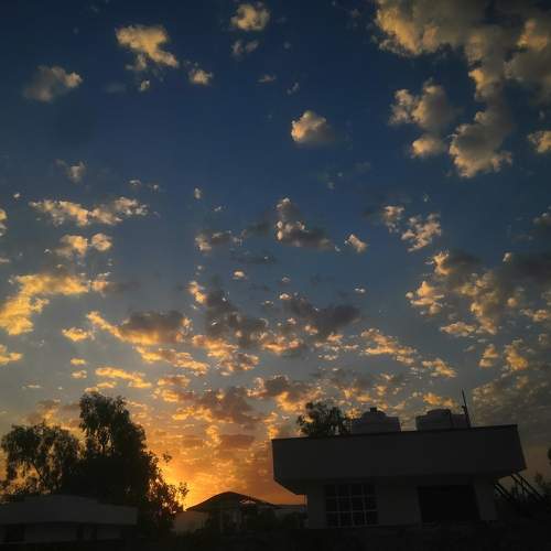 Photo #10802992