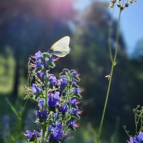Photo #10803115