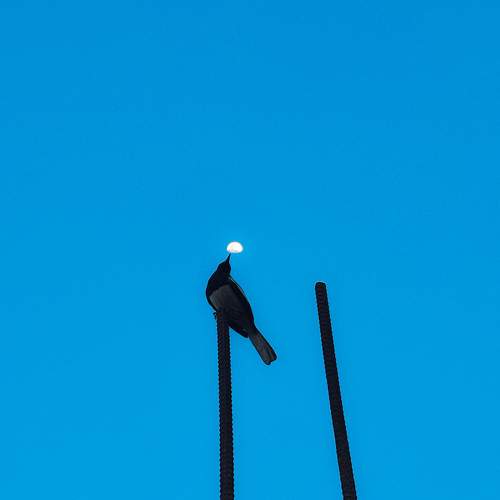 Photo #10803170