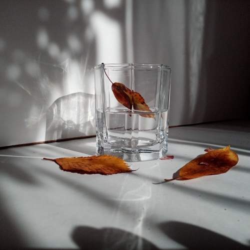 Photo #10803209