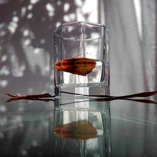 Photo #10803214