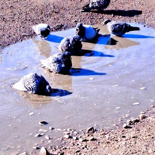 Photo #10803233
