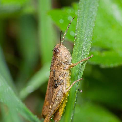 Photo #10803294