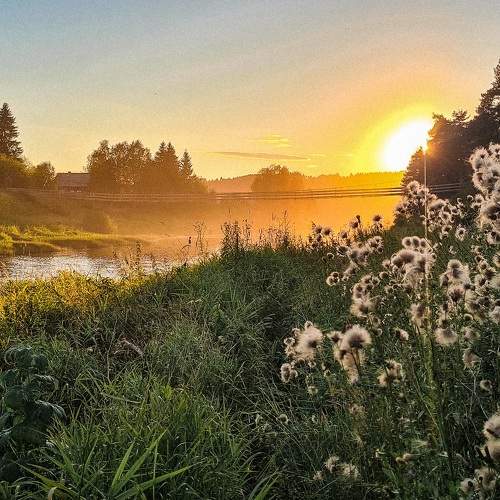 Photo #10803345