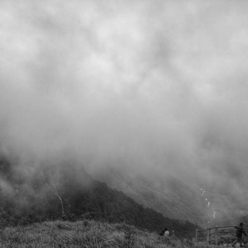 Photo #10803585