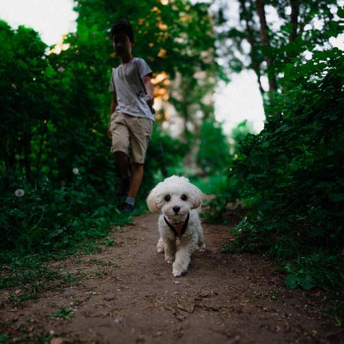 Photo #10803634