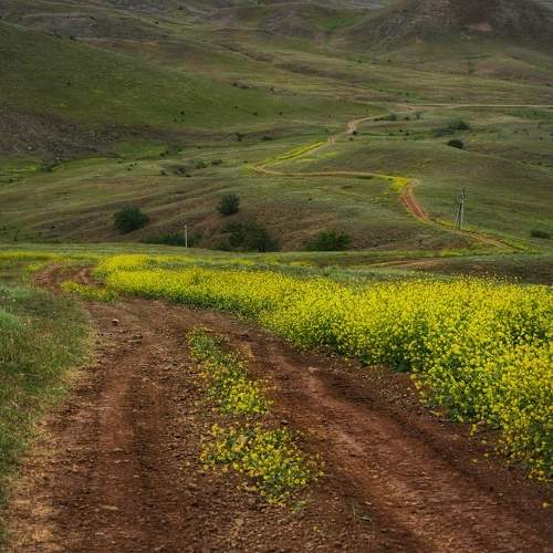 Photo #10803902