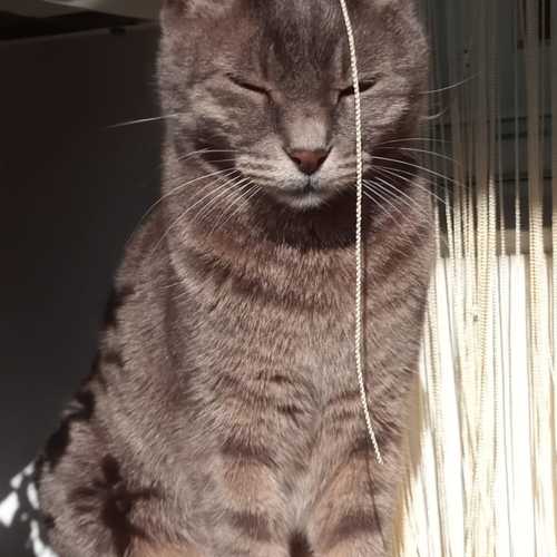 Photo #10804055
