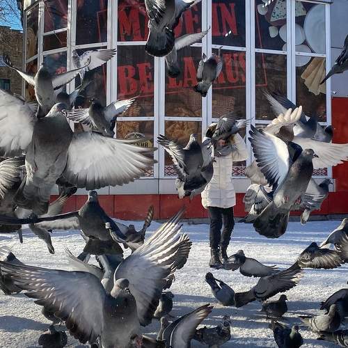 Photo #10804085