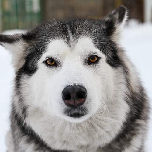 Photo #10804209
