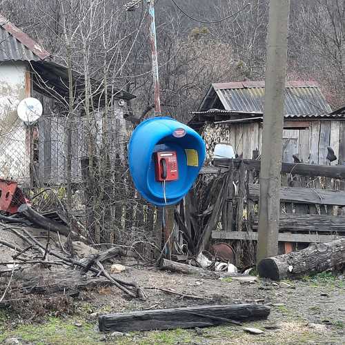 Photo #10804213