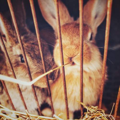 Photo #10804340
