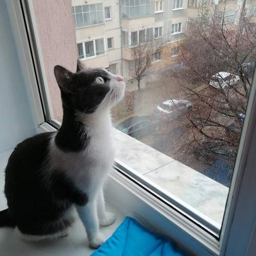 Photo #10804344