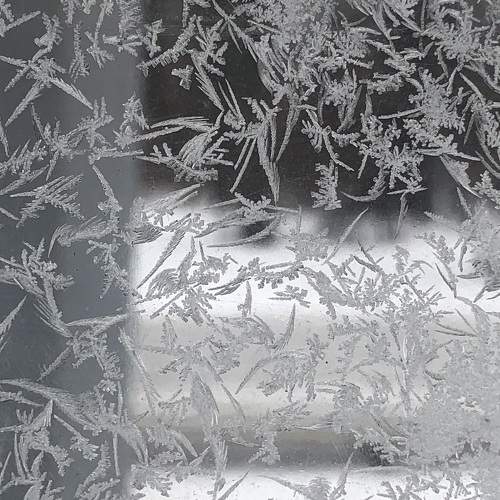 Photo #10804377