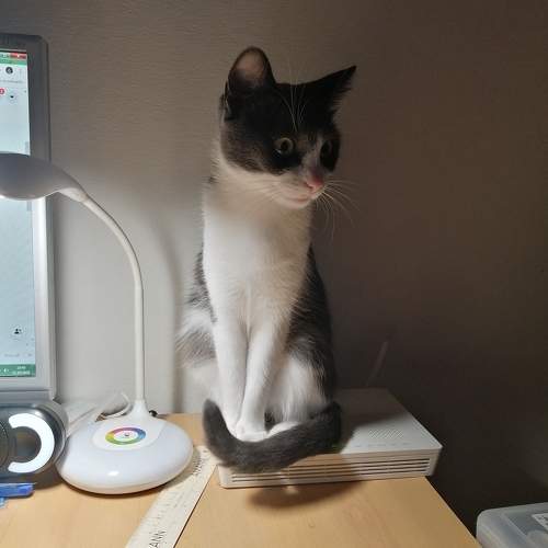 Photo #10804403
