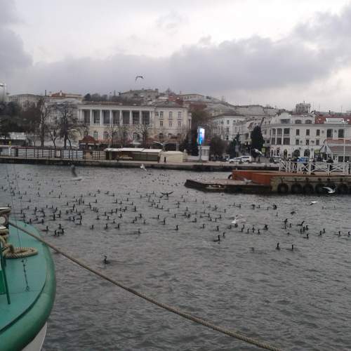 Photo #10804548