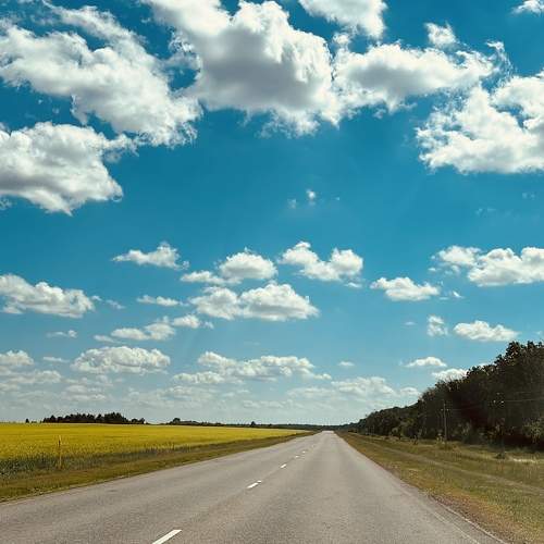 Photo #10804635