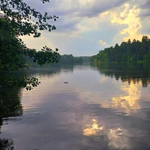 Photo #10804922