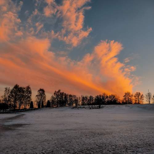 Photo #10804980