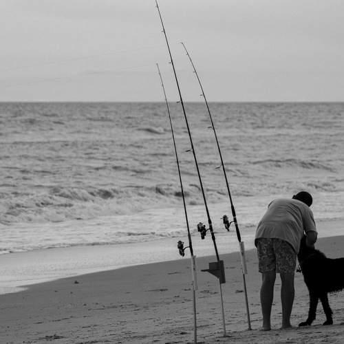 Photo #10805089