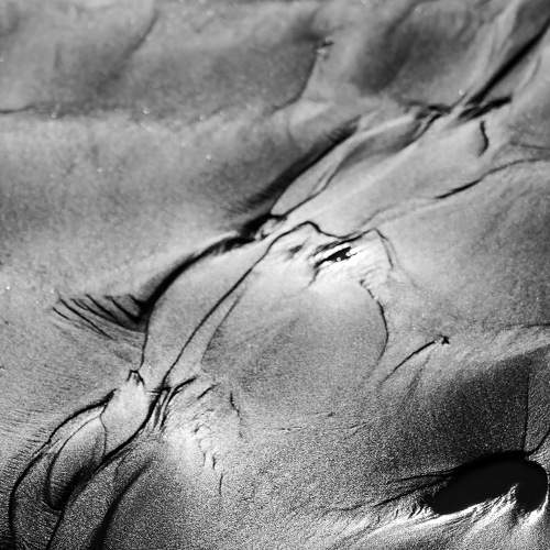 Photo #10805091