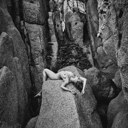 Photo #10805109