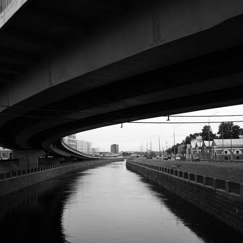 Photo #10805113